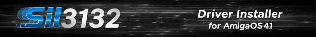 Resized Image